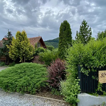 Pensiunea Sovirag-2